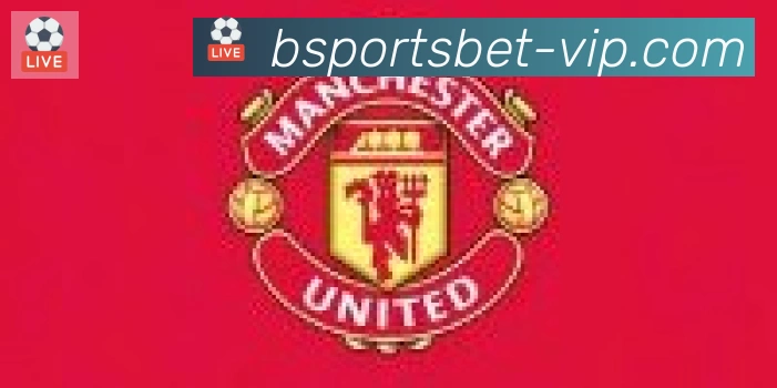 Bsports官网合作伙伴