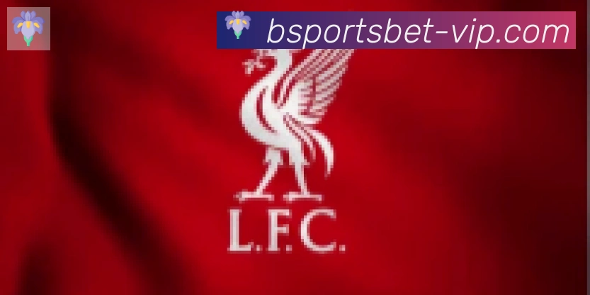 Bsports官网合作伙伴
