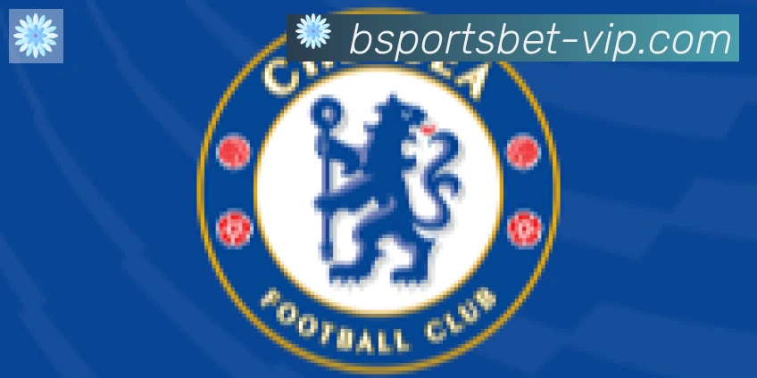Bsports官网合作伙伴