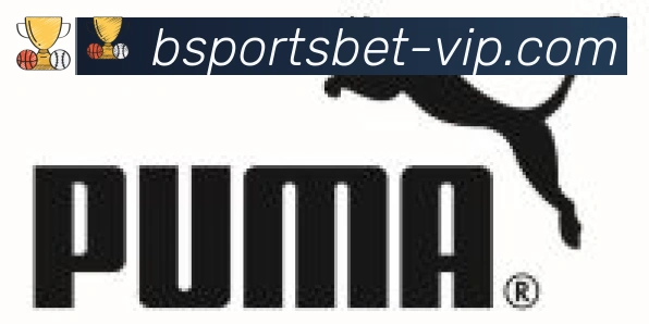 Bsports官网合作伙伴